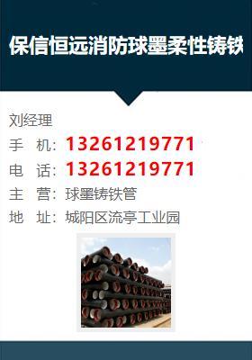 保信恒遠(yuǎn)消防球墨柔性鑄鐵排水排污給水管件商貿(mào)(盤錦市雙臺(tái)子區(qū)分公司)在消防工程中的應(yīng)用與優(yōu)勢