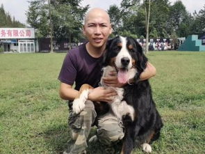 專業訓狗，成就非凡 成都勇軍訓犬基地的服務與價值