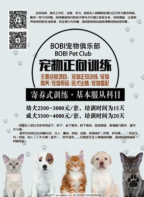 寵愛無限，服務無憂——新店開業，專為愛寵而來！